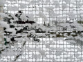 Snow on Chicken Wire 2